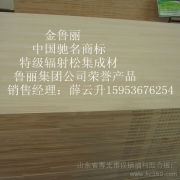 金魯麗相冊 膠合板的美學與實力